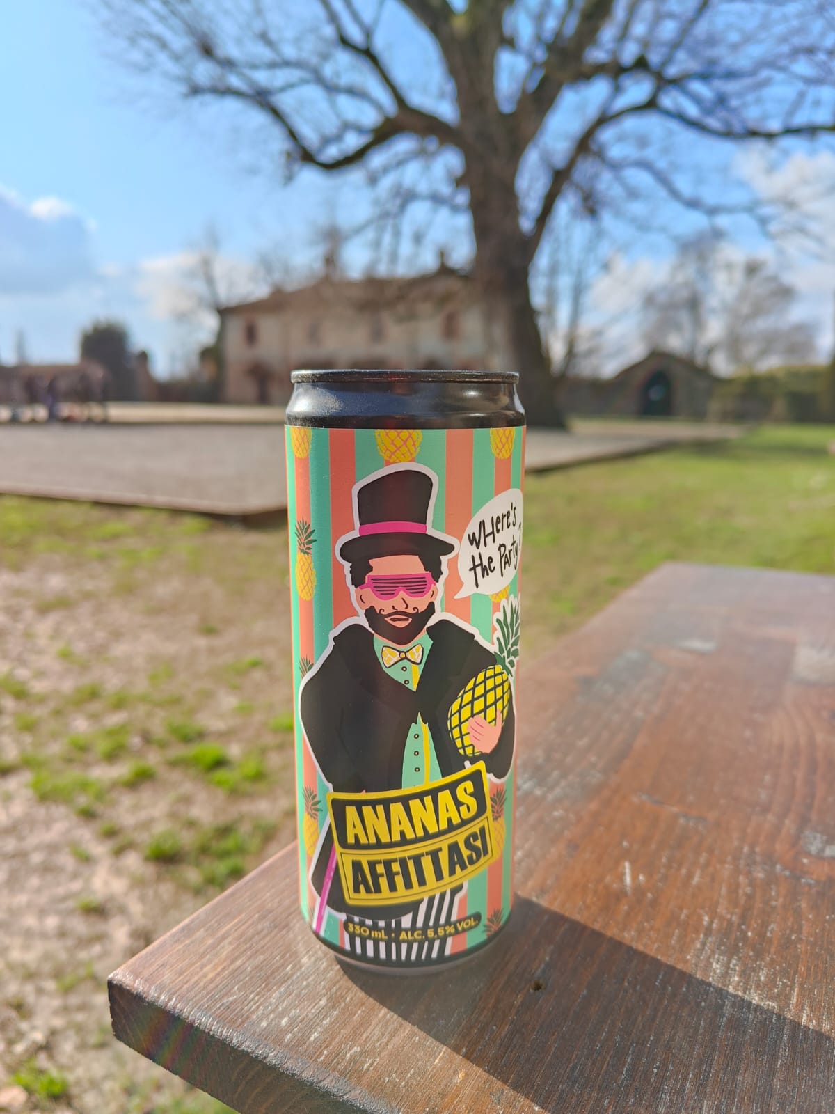 Sidro Ananas Affittasi